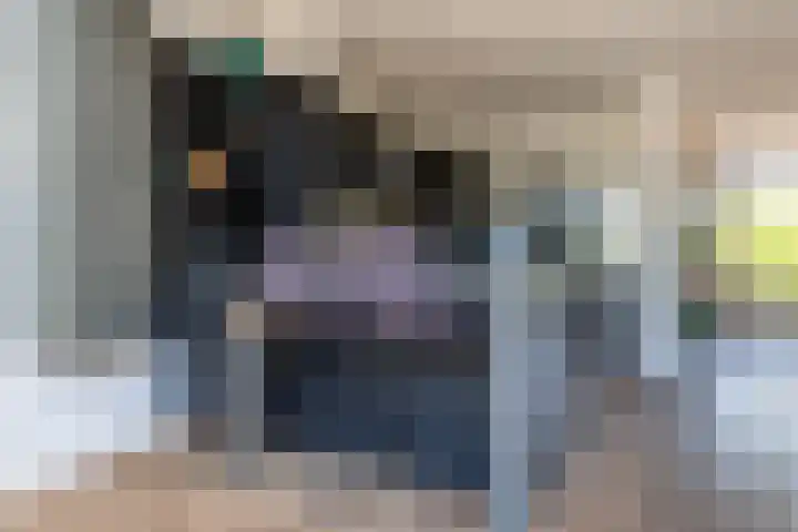 Hogeweg 7 Wijk aan Zee thumbnail 14