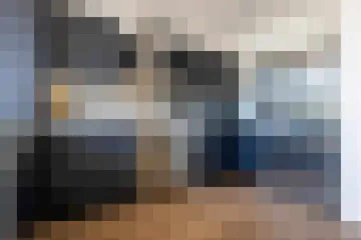 Hogeweg 7 Wijk aan Zee thumbnail 15