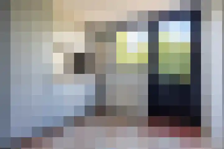 Hogeweg 7 Wijk aan Zee thumbnail 17