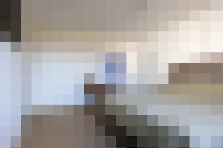Hogeweg 7 Wijk aan Zee thumbnail 18