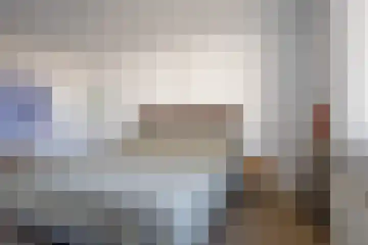 Hogeweg 7 Wijk aan Zee thumbnail 19