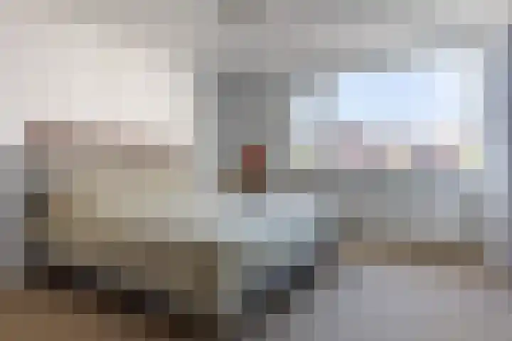 Hogeweg 7 Wijk aan Zee thumbnail 20