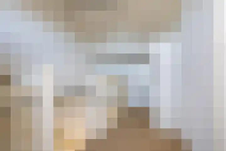 Hogeweg 7 Wijk aan Zee thumbnail 26