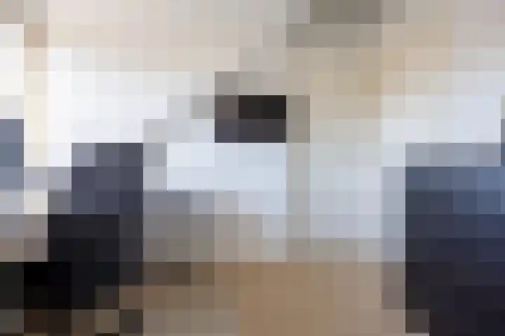 Hogeweg 7 Wijk aan Zee thumbnail 30