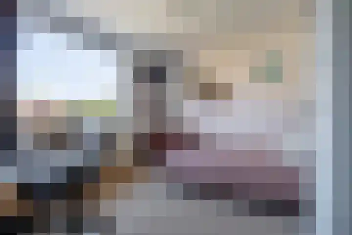 Hogeweg 7 Wijk aan Zee thumbnail 31
