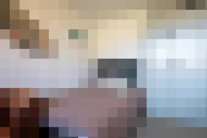 Hogeweg 7 Wijk aan Zee thumbnail 32