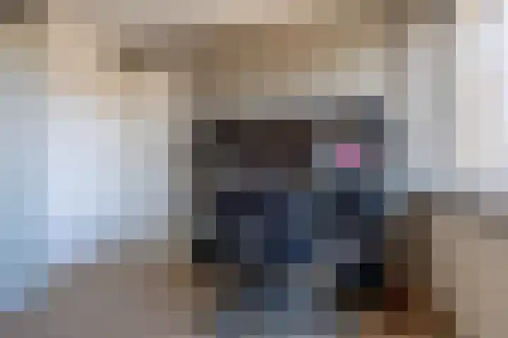 Hogeweg 7 Wijk aan Zee thumbnail 33
