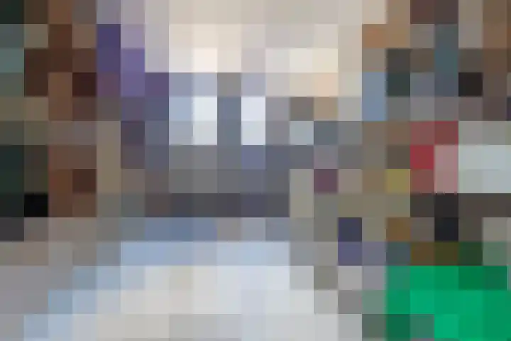 Hogeweg 7 Wijk aan Zee thumbnail 35