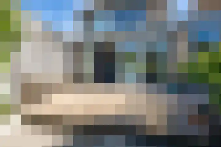 Hogeweg 7 Wijk aan Zee thumbnail 38