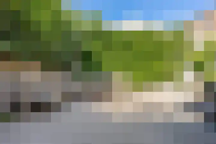 Hogeweg 7 Wijk aan Zee thumbnail 41