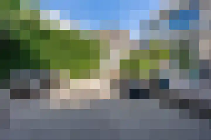 Hogeweg 7 Wijk aan Zee thumbnail 42