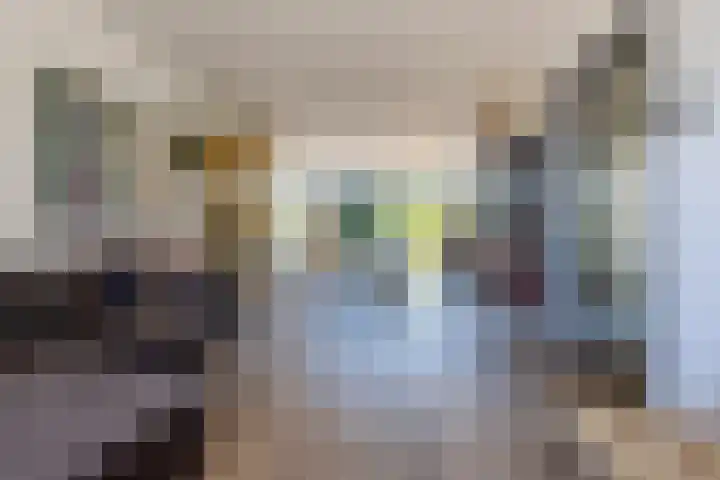 Hogeweg 7 Wijk aan Zee thumbnail 8