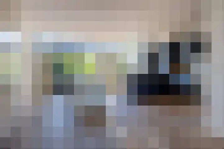 Hogeweg 7 Wijk aan Zee thumbnail 9