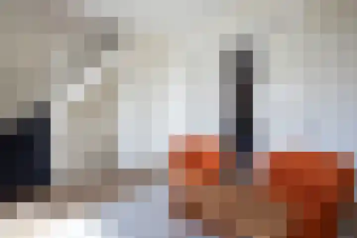 Hogeweg 70 Amsterdam thumbnail 13