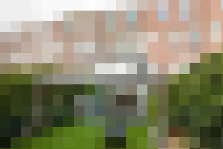 Hogeweg 70 Amsterdam thumbnail 23