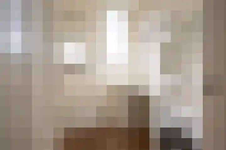 Hogeweg 70 Amsterdam thumbnail 33