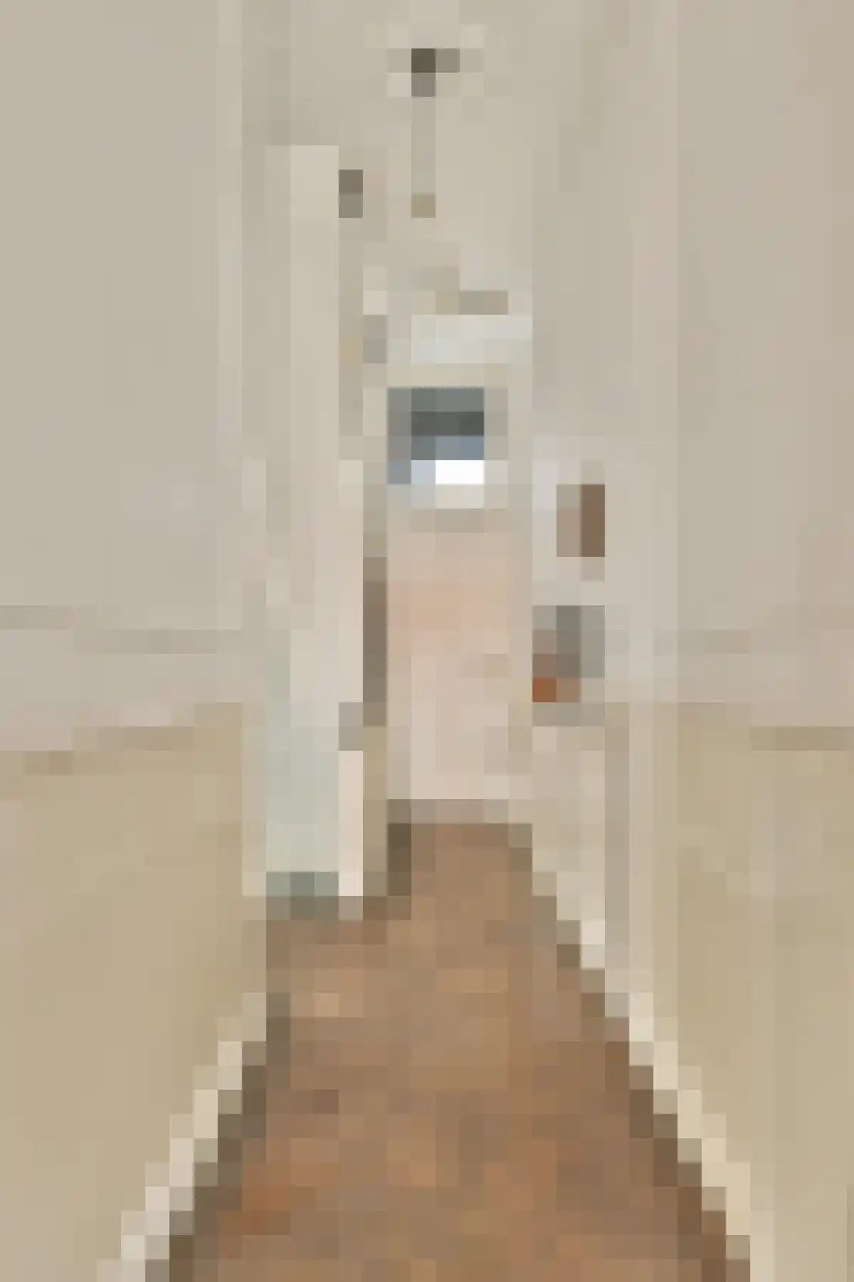 Hogeweg 70 Amsterdam thumbnail 6