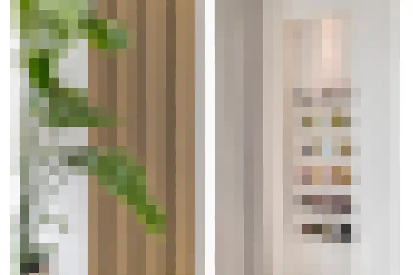 Hogeweg 70 Gronsveld thumbnail 13