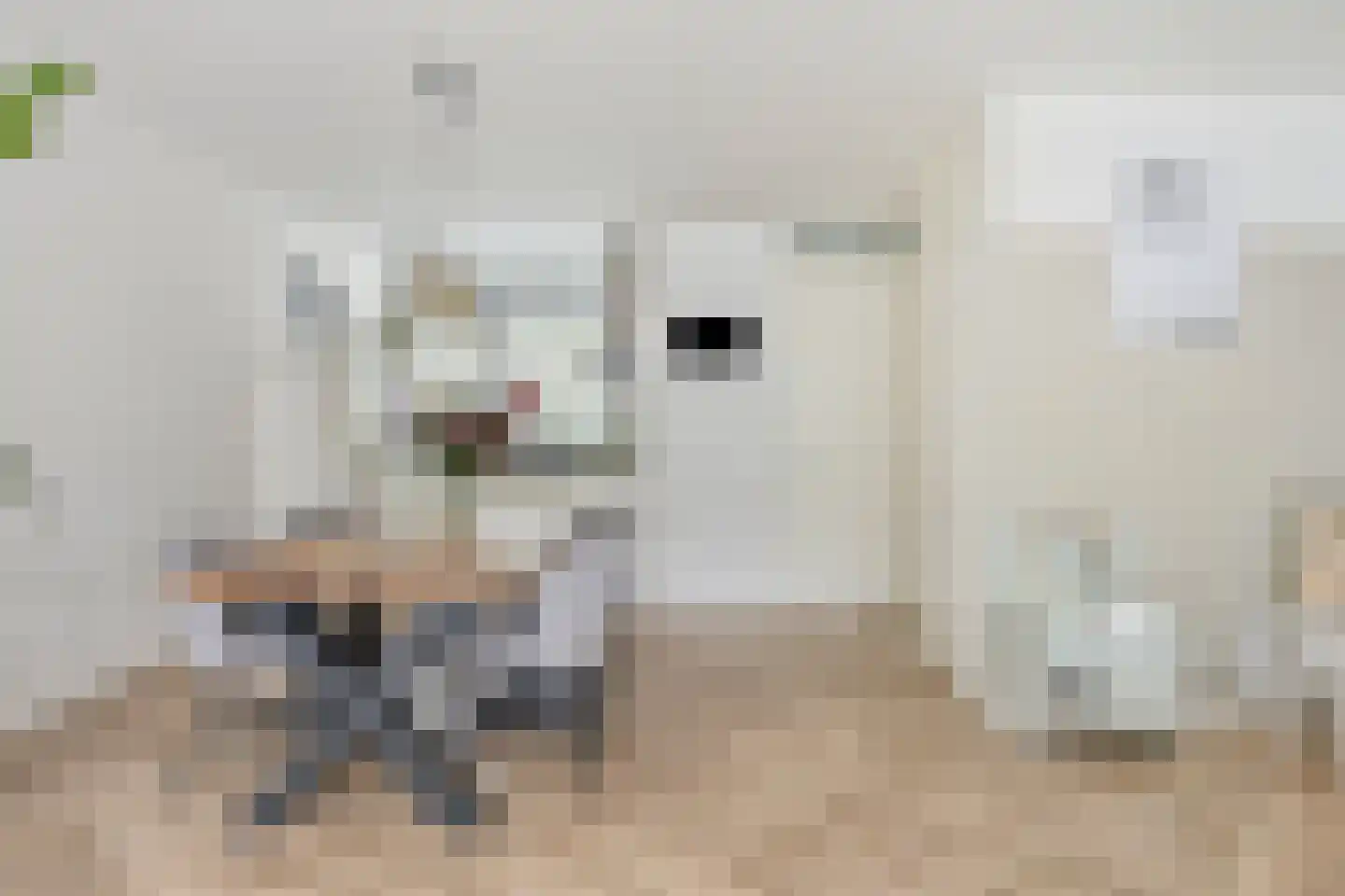 Hogeweg 70 Gronsveld thumbnail 14