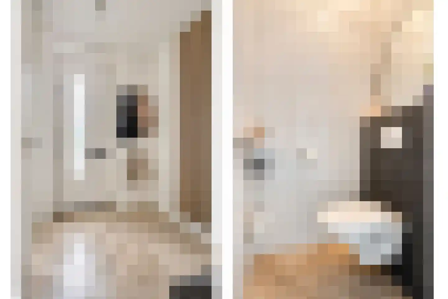 Hogeweg 70 Gronsveld thumbnail 6