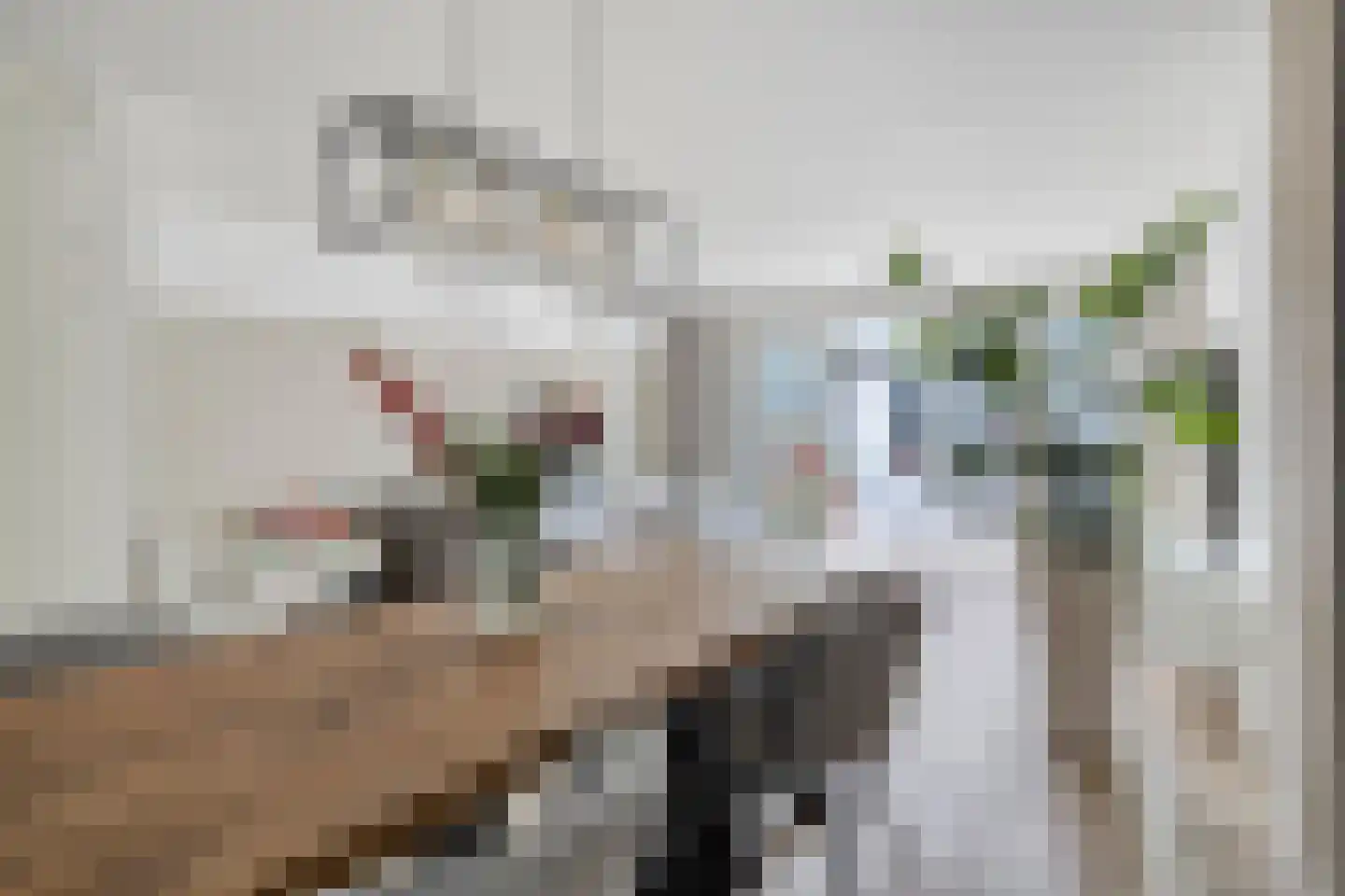 Hogeweg 70 Gronsveld thumbnail 8