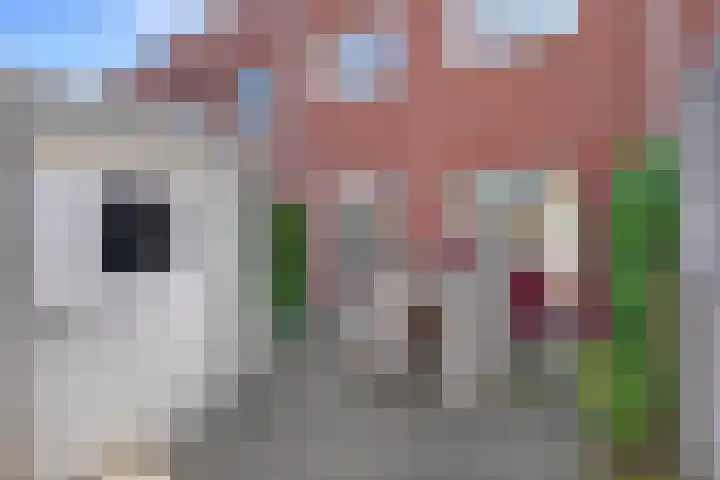Hogeweg 71 Vlissingen thumbnail 26