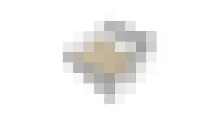 Hogeweg 71 Vlissingen thumbnail 35