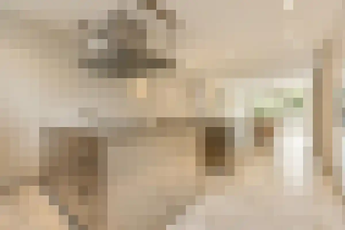 Hogeweg 72 Amsterdam thumbnail 4