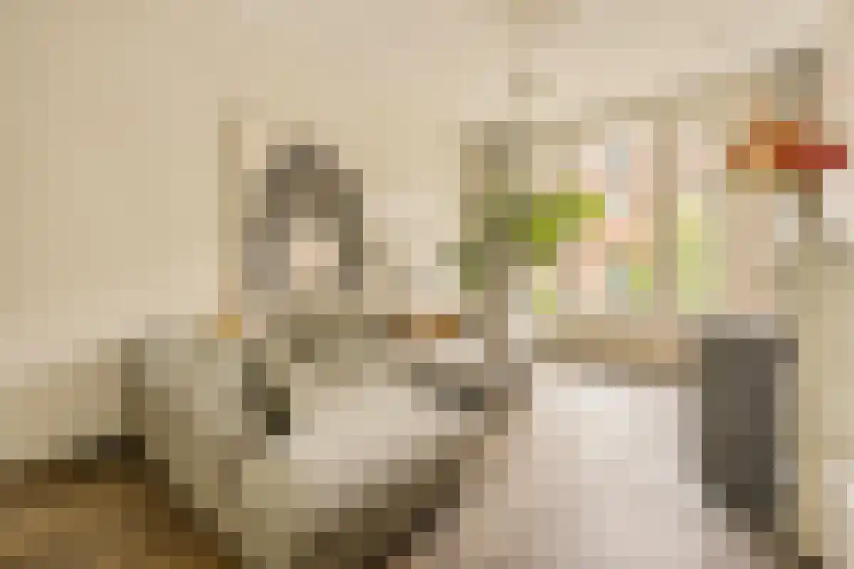 Hogeweg 72 Amsterdam thumbnail 6