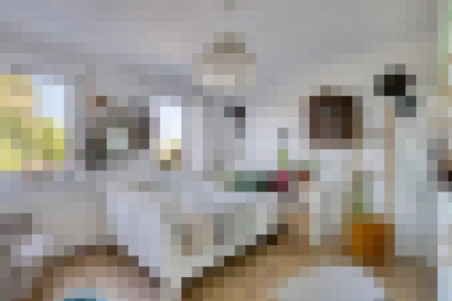Hogeweg 72 Voerendaal thumbnail 12