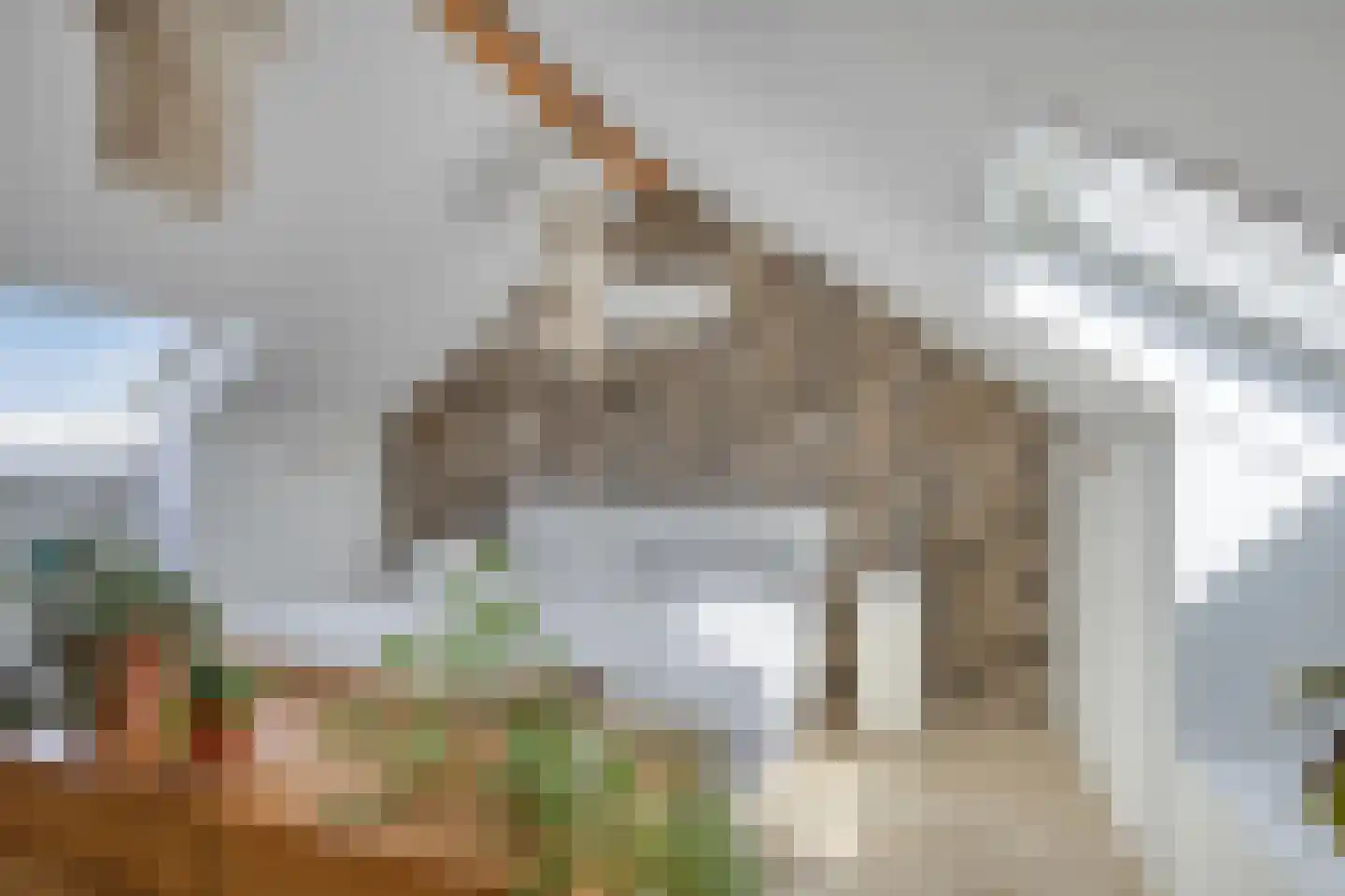 Hogeweg 72 Voerendaal thumbnail 19