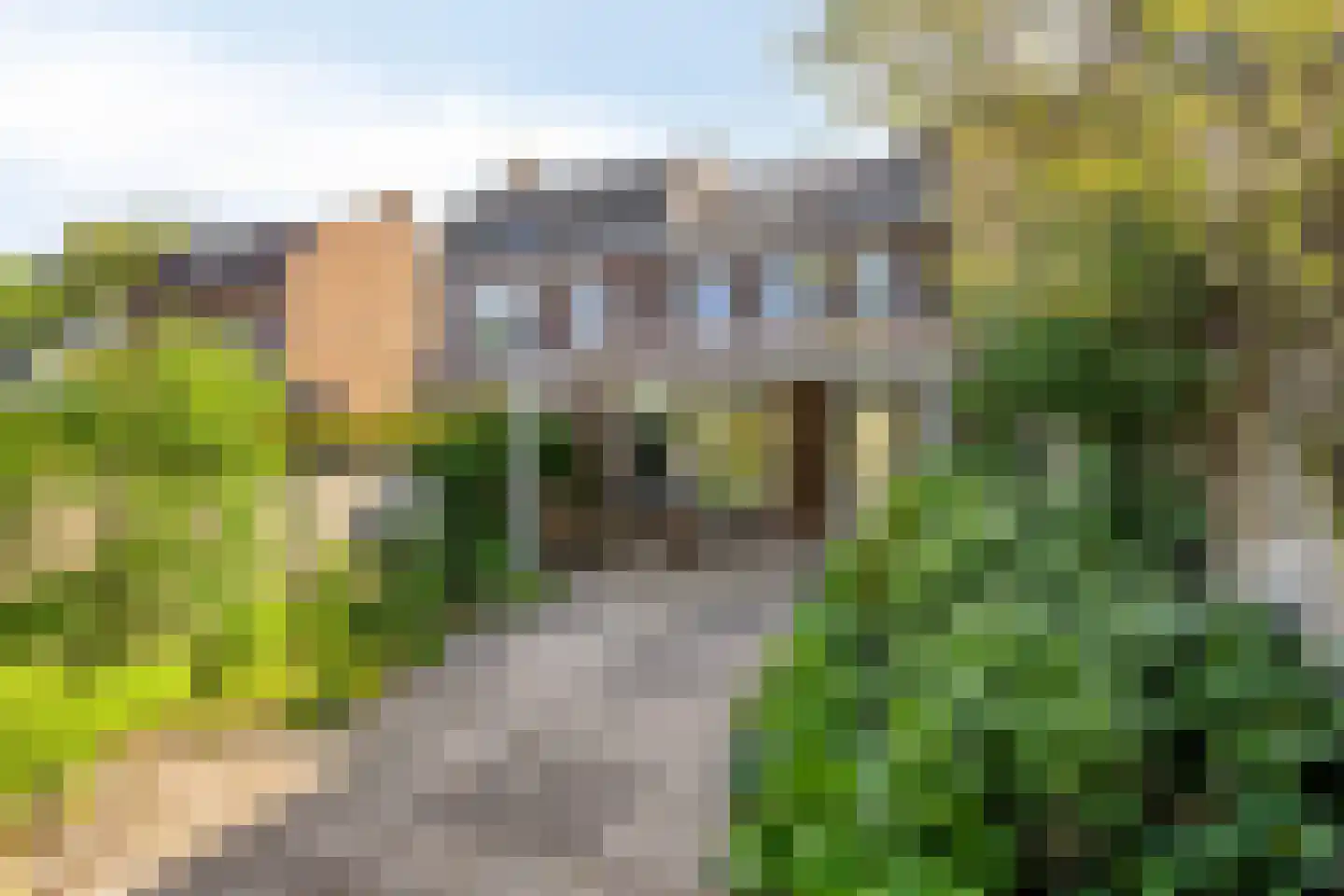 Hogeweg 72 Voerendaal thumbnail 26