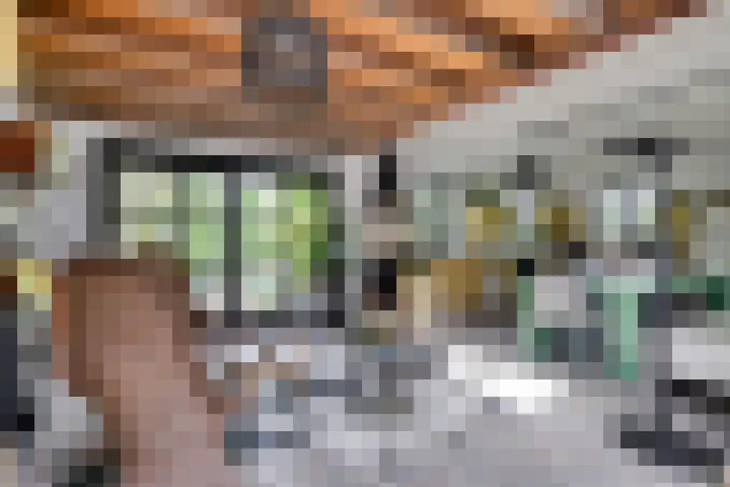 Hogeweg 72 Voerendaal thumbnail 32