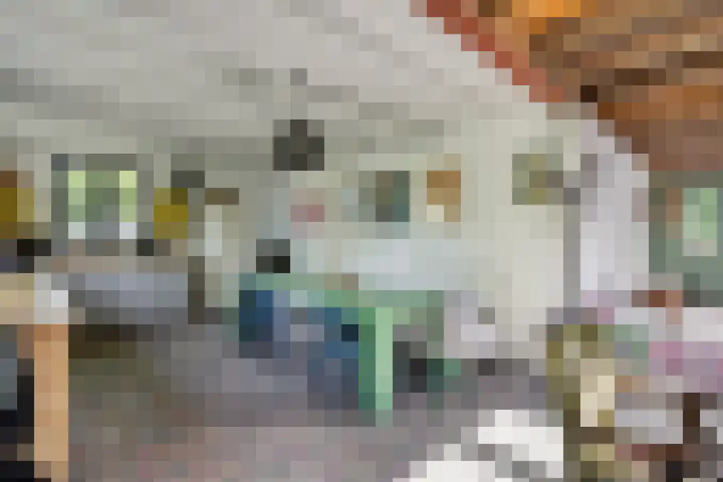 Hogeweg 72 Voerendaal thumbnail 36