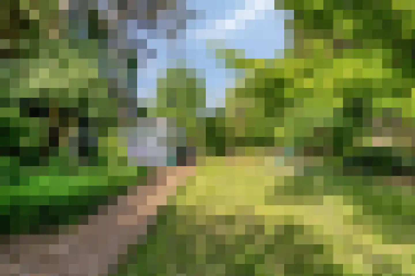 Hogeweg 72 Voerendaal thumbnail 43