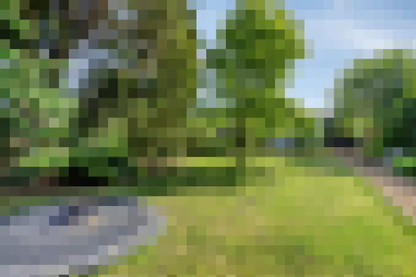 Hogeweg 72 Voerendaal thumbnail 45