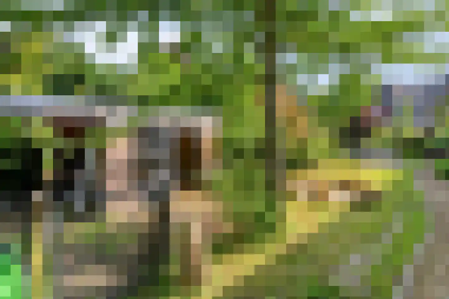 Hogeweg 72 Voerendaal thumbnail 46