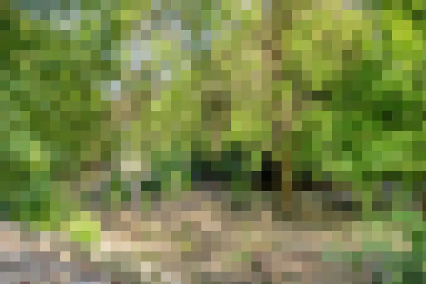 Hogeweg 72 Voerendaal thumbnail 48