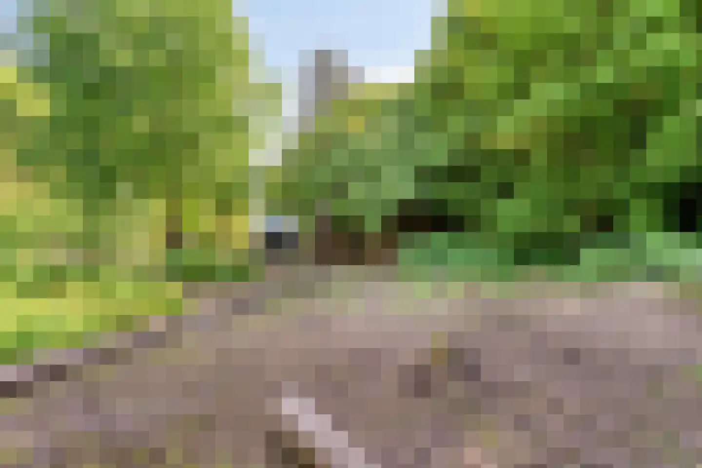 Hogeweg 72 Voerendaal thumbnail 49