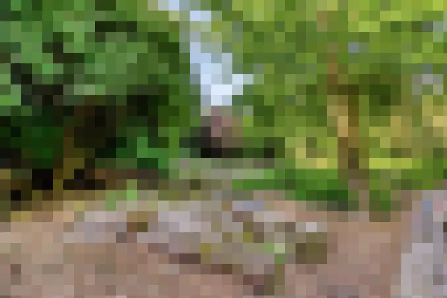 Hogeweg 72 Voerendaal thumbnail 50