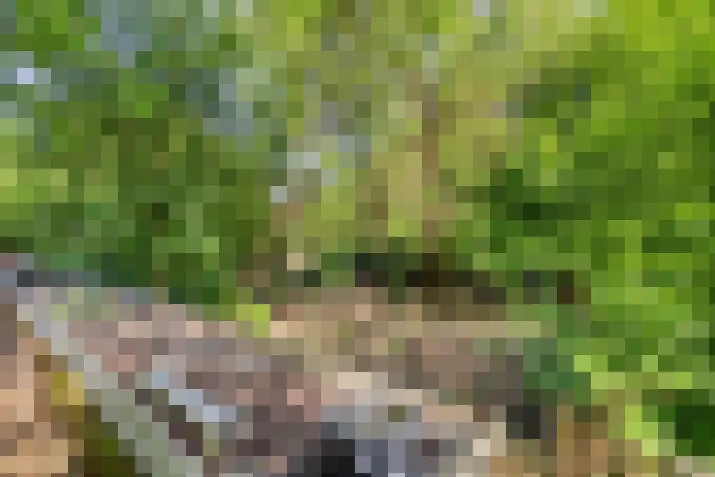 Hogeweg 72 Voerendaal thumbnail 51
