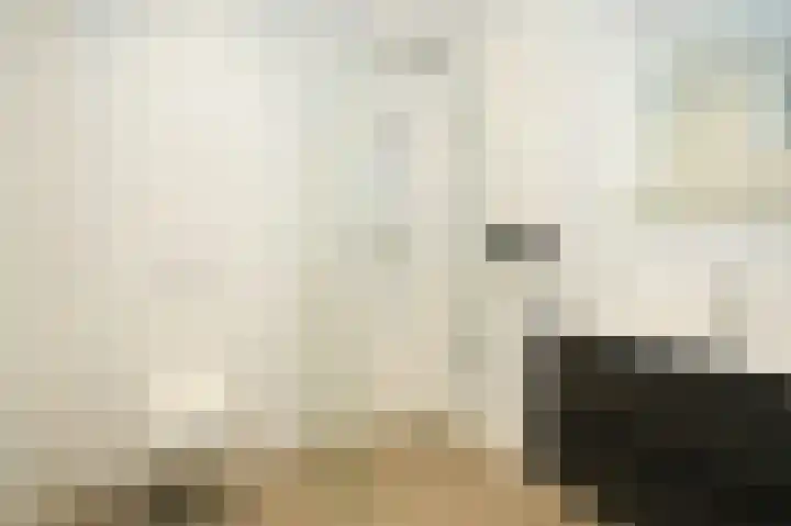 Hogeweg 75 Rossum thumbnail 17