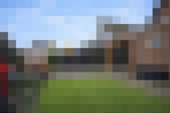 Hogeweg 75 Rossum thumbnail 33
