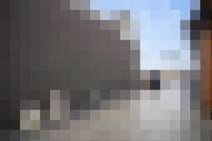 Hogeweg 75 Rossum thumbnail 34