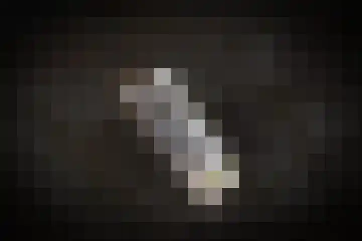 Hogeweg 75 Rossum thumbnail 40