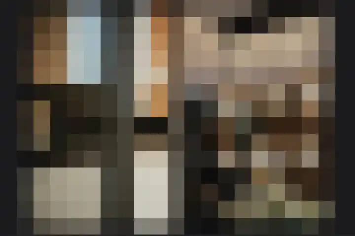 Hogeweg 75 Rossum thumbnail 6