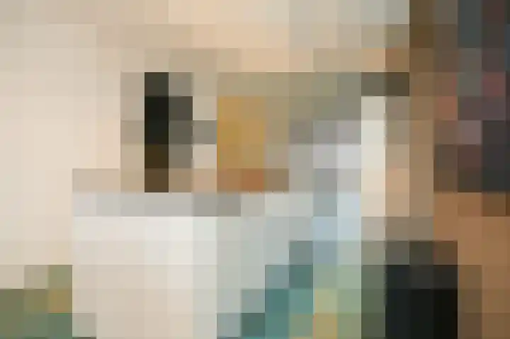 Hogeweg 75 Rossum thumbnail 7
