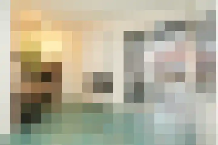Hogeweg 75 Rossum thumbnail 9
