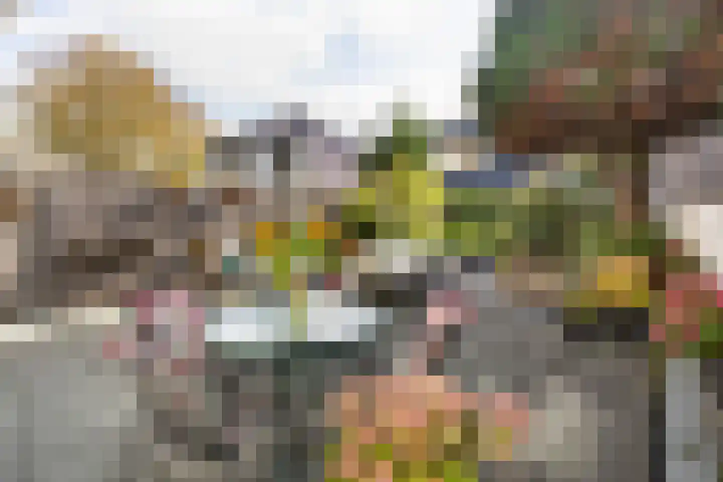 Hogeweg 76 F 1 Zandvoort thumbnail 17