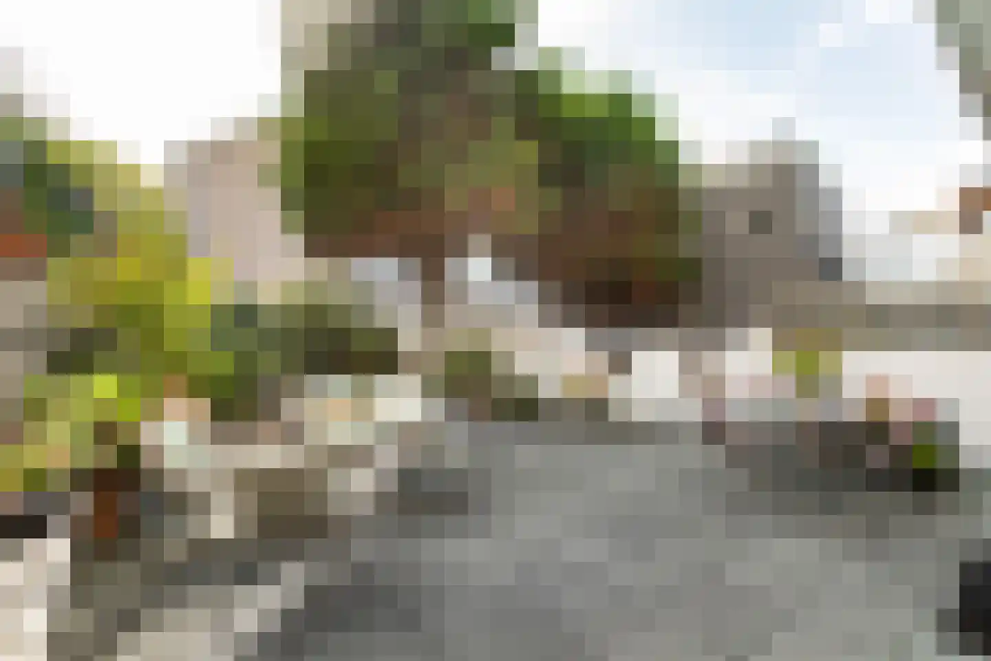 Hogeweg 76 F 1 Zandvoort thumbnail 18